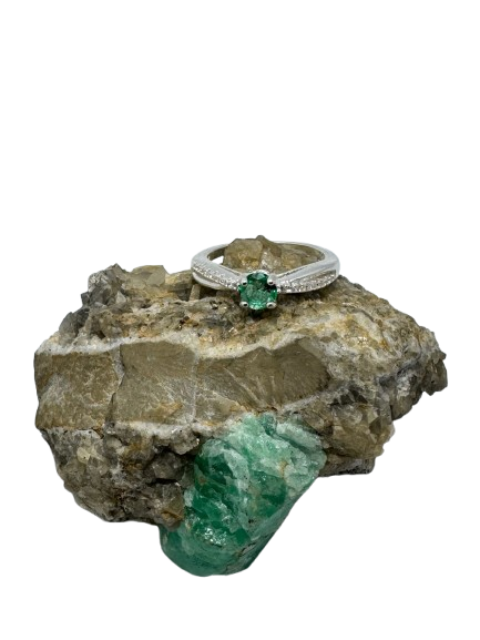 whatsapp image 2026 02 10 at 10.22.12 am removebg preview